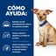 354 g Hill's Prescription Diet Digestive Care i/d Perros Lata Estofado Pollo y Verduras, , large indicador imagen numero 4
